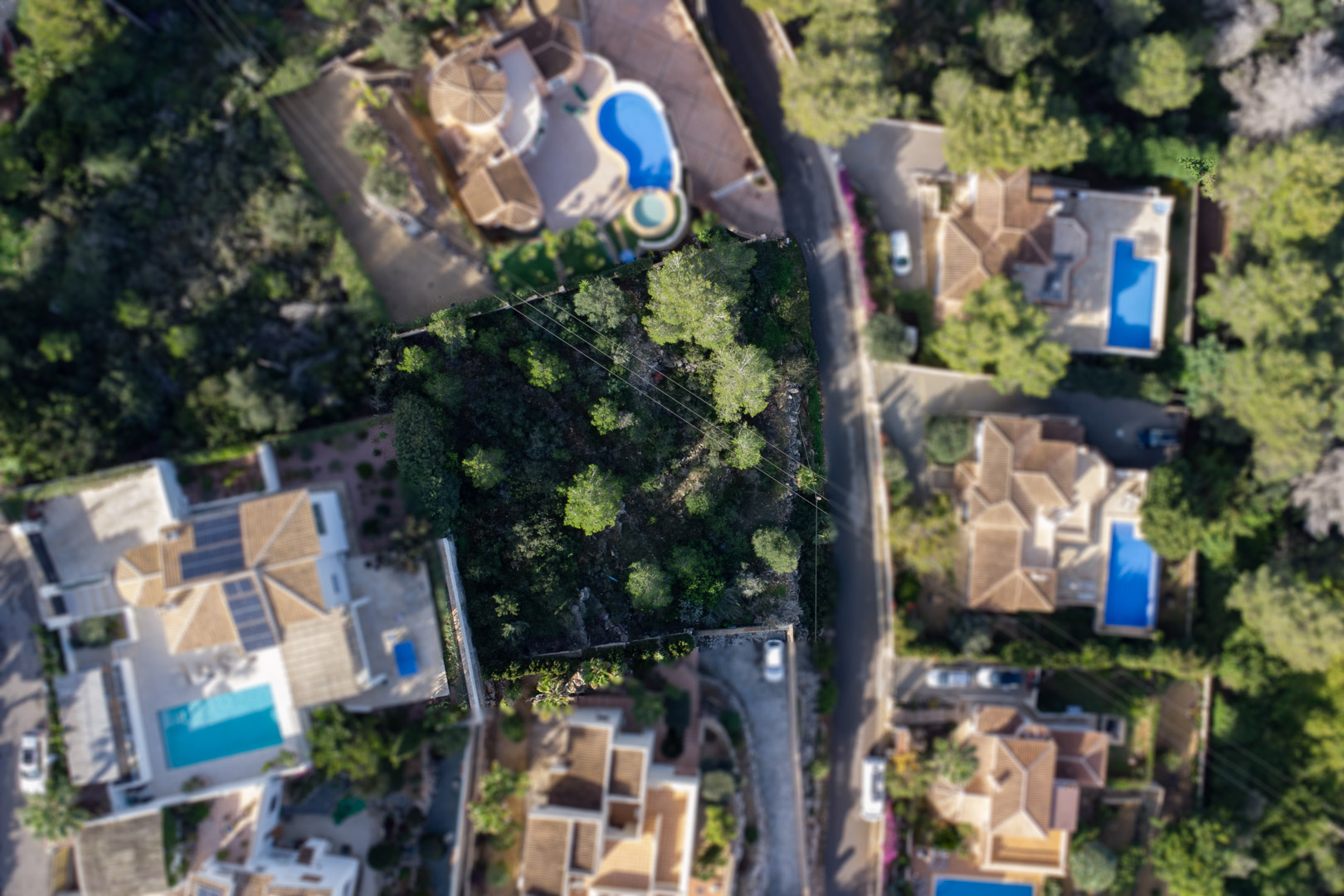 Top-down aerial view of the 1042m2 plot, showing dense Mediterranean pine growth and its position within an established residential area of private villas.