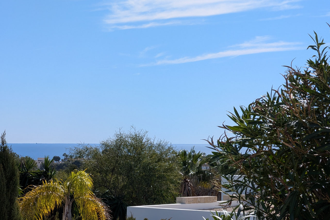 Elevated views of the Mediterranean Sea horizon, framed by lush local vegetation including palms and oleanders under a clear blue sky.