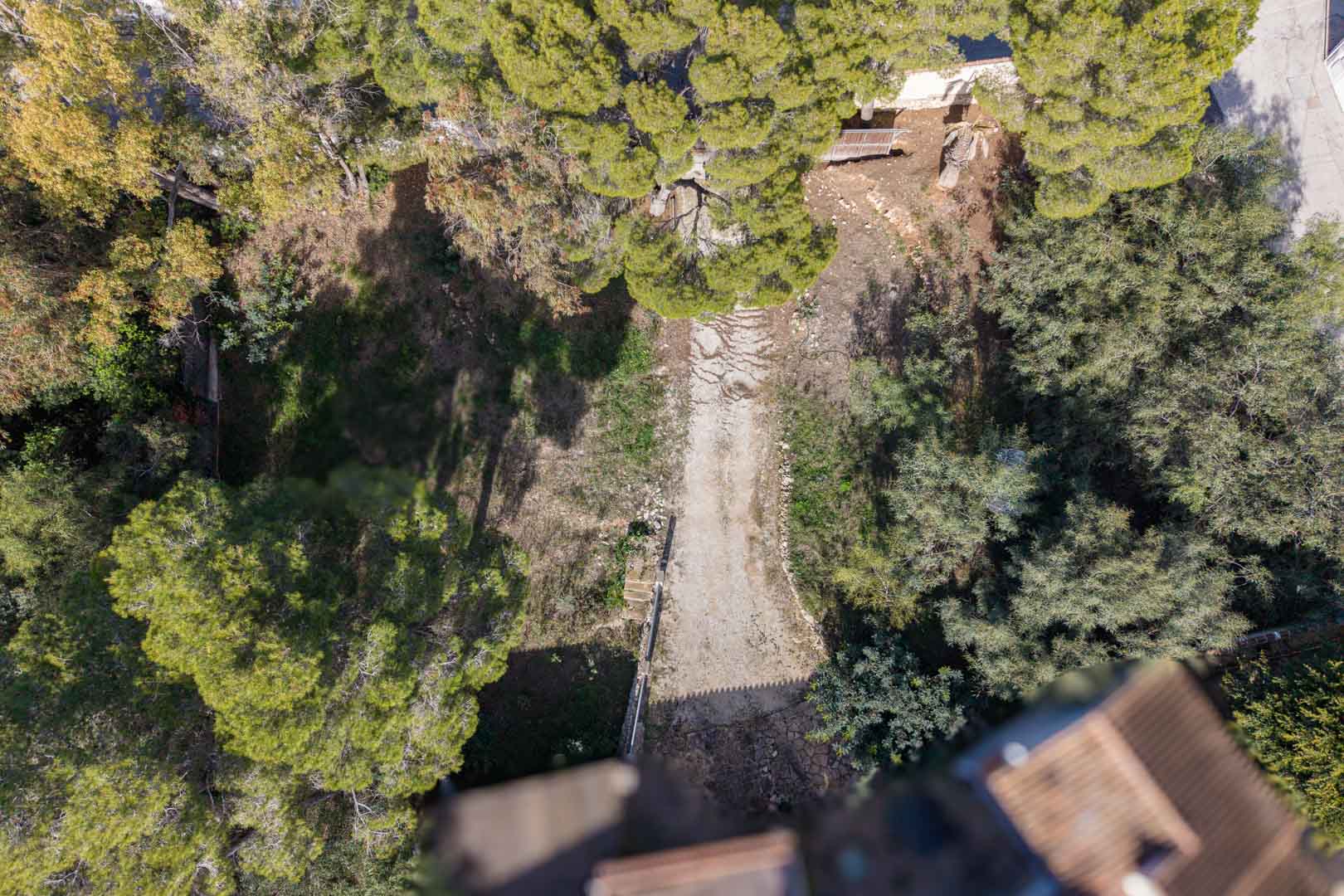Aerial view of the plot featuring a central access path surrounded by mature pine trees and natural Mediterranean vegetation within a walled perimeter.