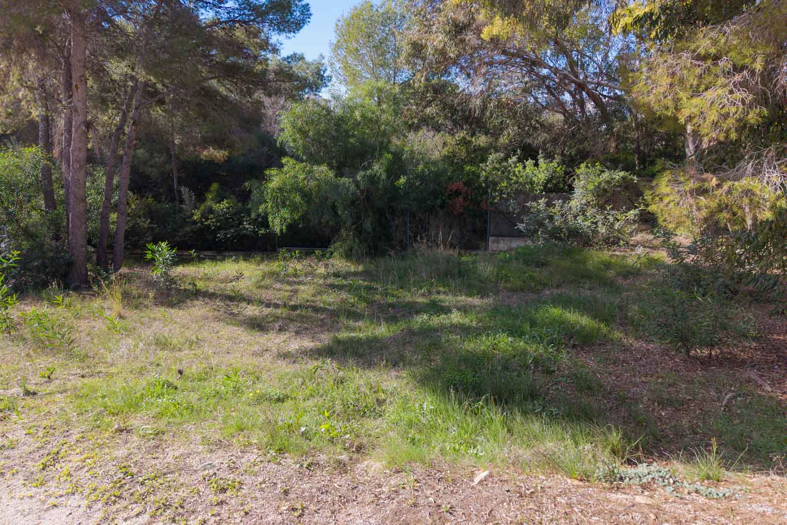 Level urban plot in Moraira, bordered by mature pine trees and natural Mediterranean greenery, offering a secluded setting for a new villa.