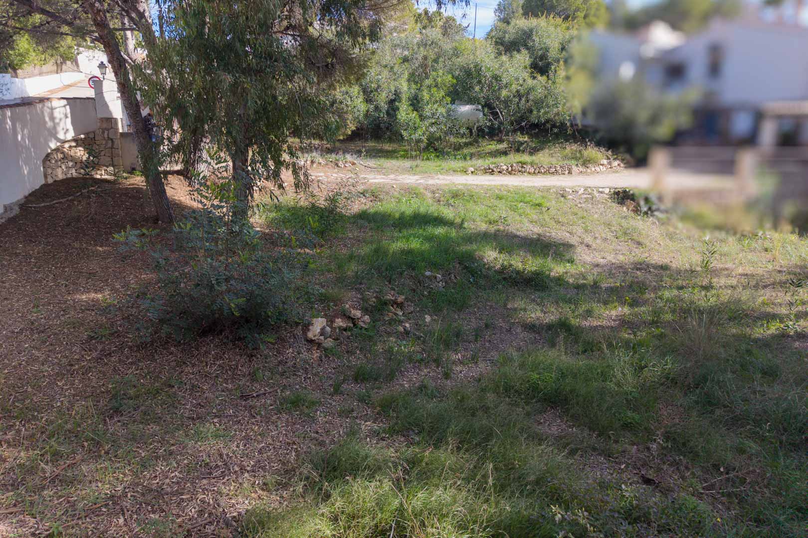 Urban plot featuring a gentle slope with native vegetation and pine trees. It includes traditional stone walls and direct access from a quiet residential street.