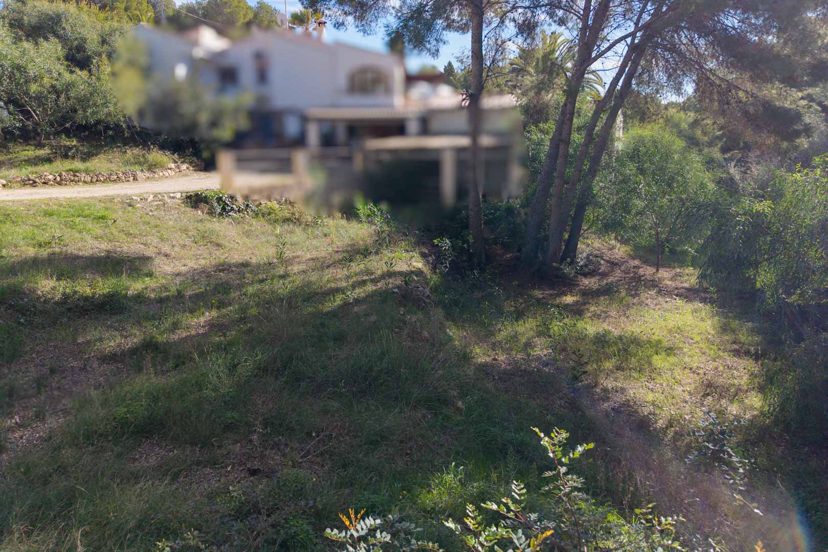 Urban plot featuring natural Mediterranean vegetation and pine trees, located within an established residential neighborhood in Moraira with ample sunlight.