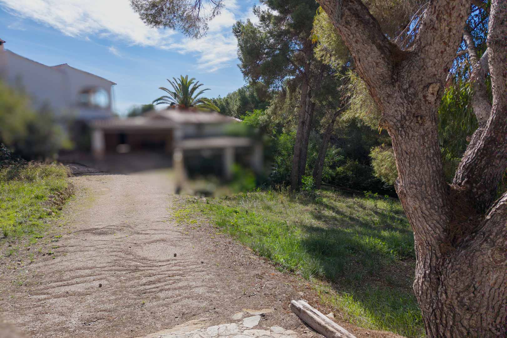 View of the urban plot featuring a gravel access path, mature pine trees, and Mediterranean vegetation within a quiet residential neighborhood in Moraira.