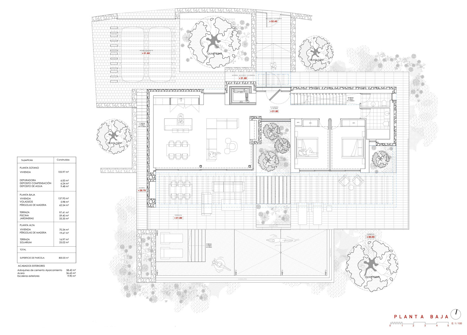 Detailed ground floor plan featuring an open-concept living area, kitchen with island, two ensuite bedrooms, a large terrace with pool, and landscaped olive tree gardens.