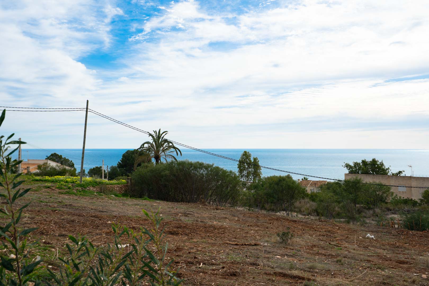 Elevated plot of land featuring unobstructed views of the Mediterranean Sea, bordered by native vegetation and a prominent palm tree.