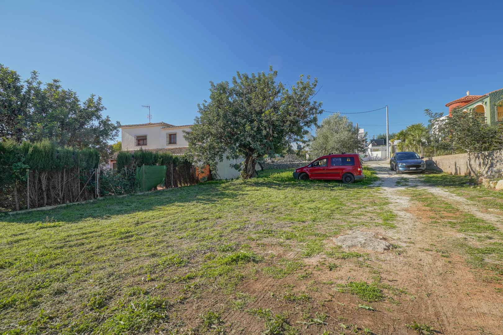 Exterior plot featuring a grassy area, a dirt access path, and a mature carob tree situated near the traditional house in the background.