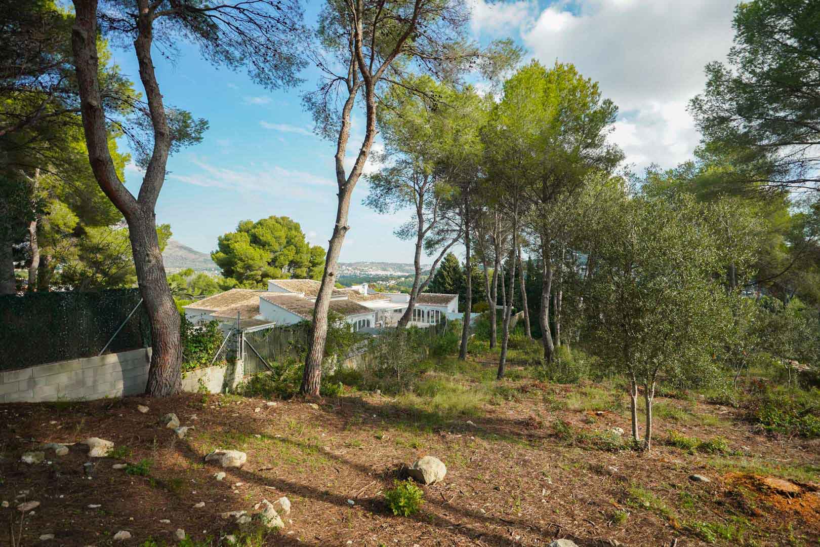 Elevated building plot featuring mature pine and olive trees, with views overlooking the valley and neighboring villas in La Lluca.