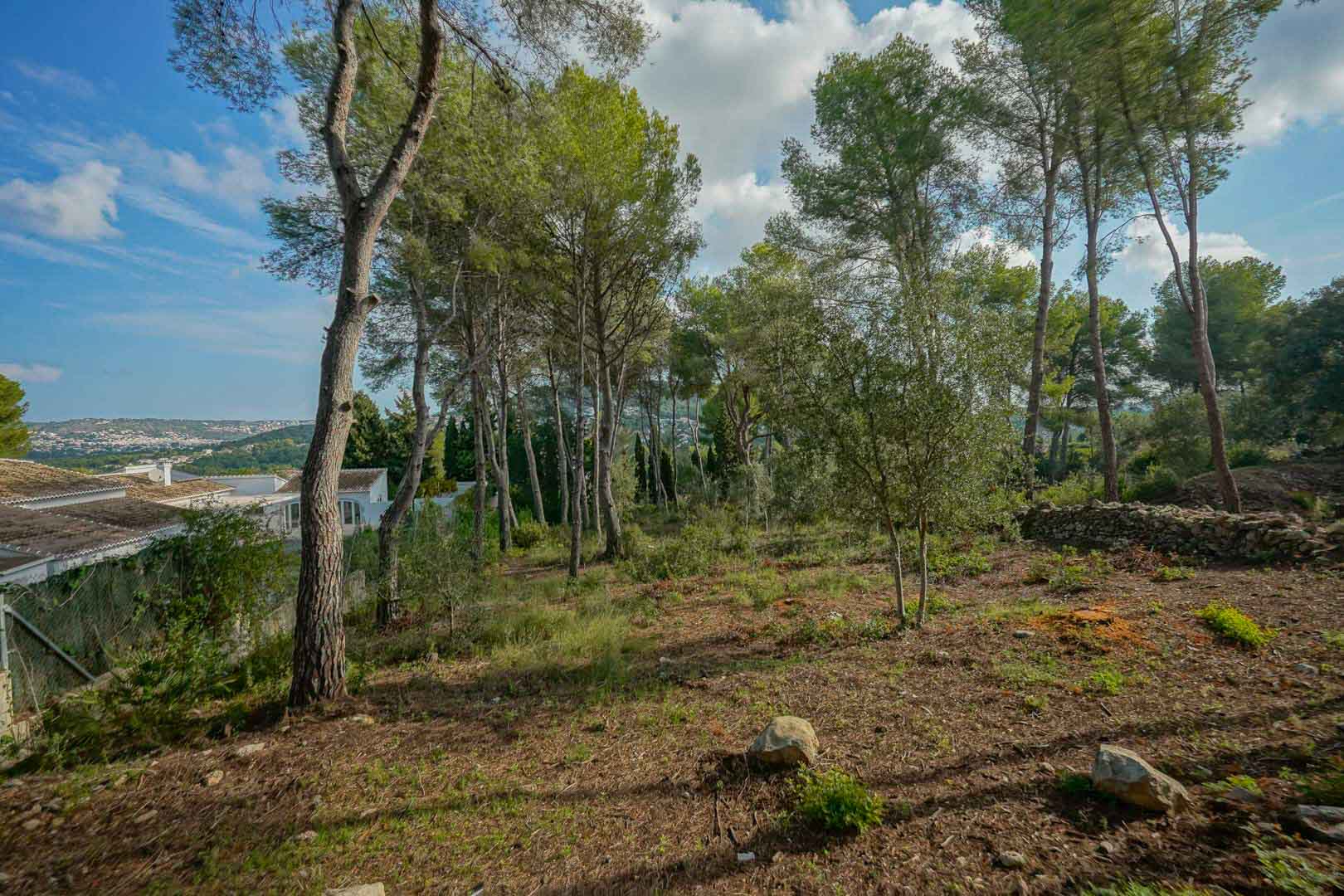 Elevated building plot featuring mature pine trees and open valley views, bordered by traditional stone walls and existing residential villas.
