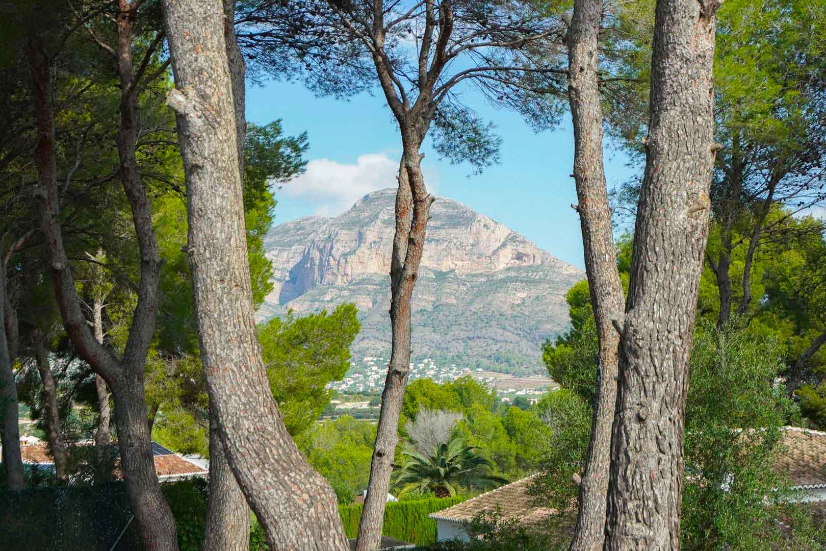 Panoramic view of the Montgó mountain framed by mature pine trees from the plot in La Lluca, highlighting the natural surroundings and nearby rooftops.