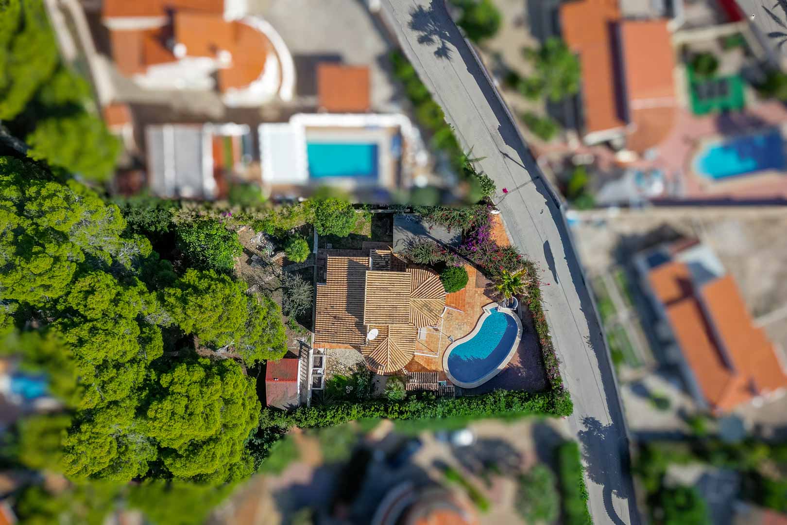 Aerial bird's-eye view of the villa featuring terracotta tiled roofs, a kidney-shaped private pool, and a mature garden with pine trees and perimeter hedging.