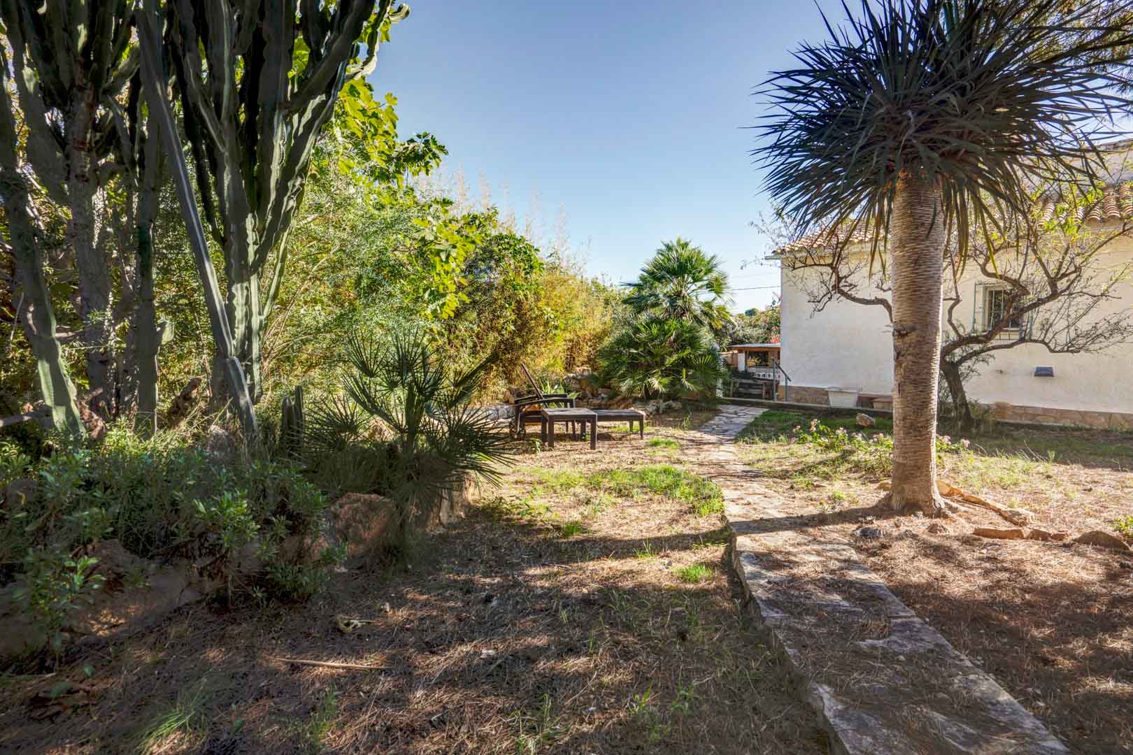 Mediterranean garden featuring natural stone paths, mature vegetation with palms and cacti, and an outdoor seating area adjacent to the white-walled villa.