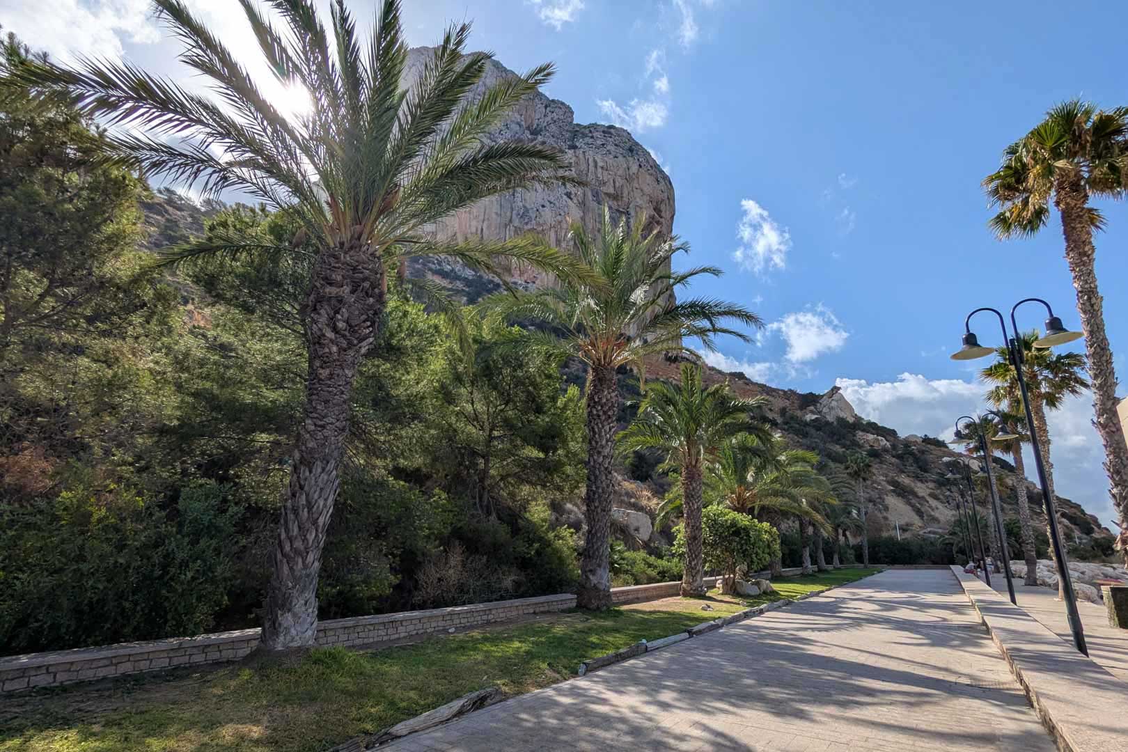 Paved promenade adjacent to the Peñón de Ifach, featuring mature palm trees, traditional street lighting, and lush Mediterranean greenery in Calpe.