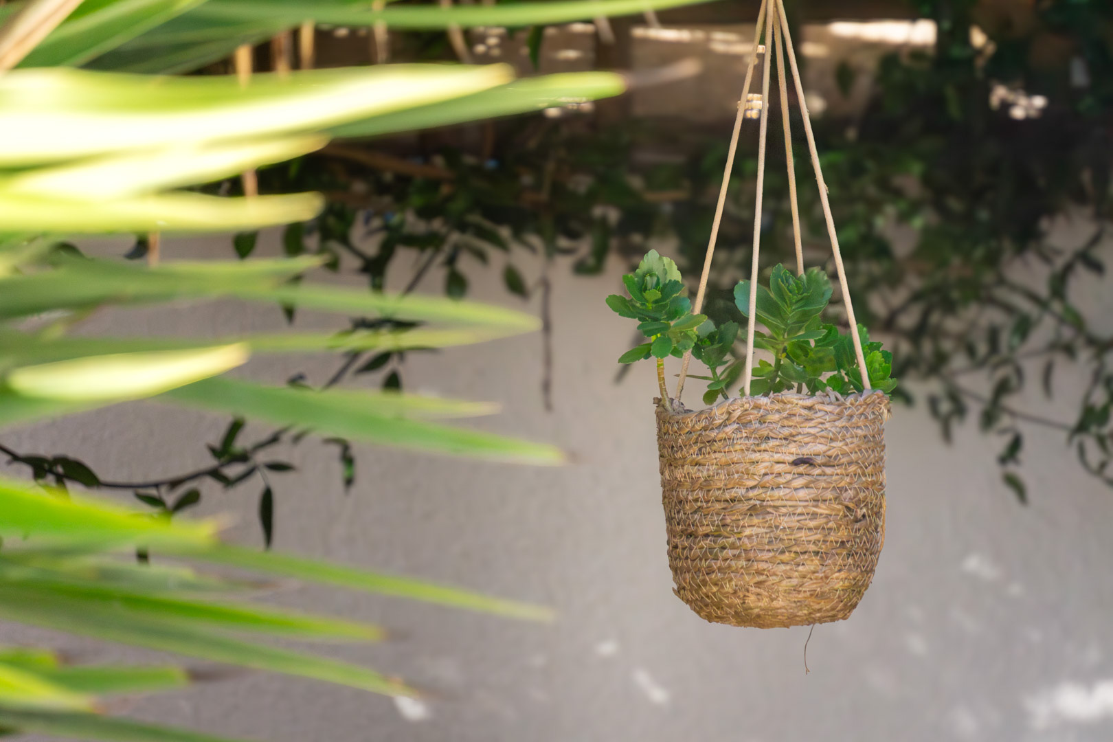 Decorative detail of a natural fiber hanging planter with succulents, showcasing the Mediterranean garden's low-maintenance landscaping and soft natural light.