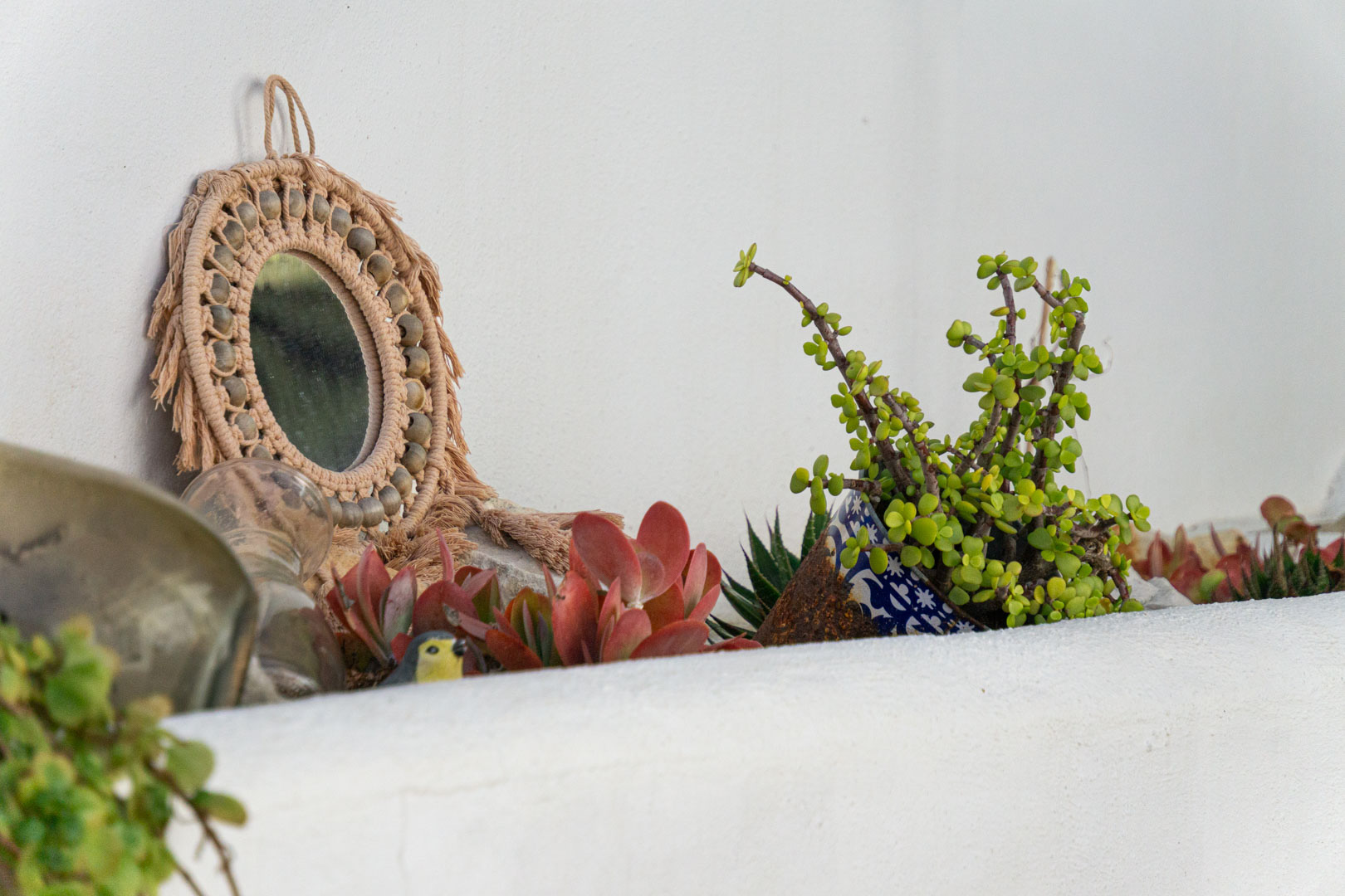 Decorative detail on a white ledge featuring a macramé-framed mirror, blue ceramic pottery, and a selection of hardy Mediterranean succulents.