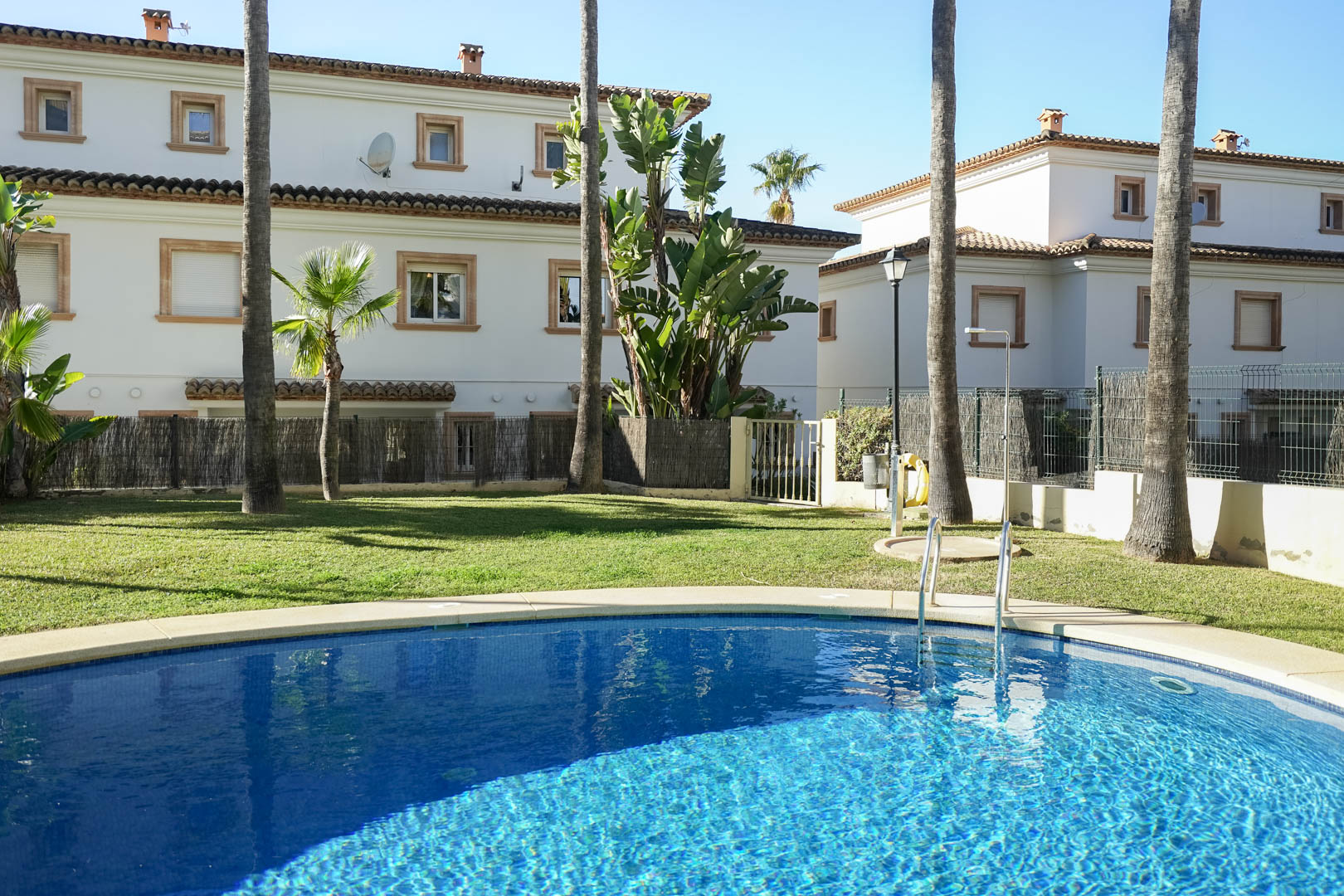 Communal swimming pool with blue tiling and stone coping, set within manicured lawns with mature palm trees and Mediterranean architecture.