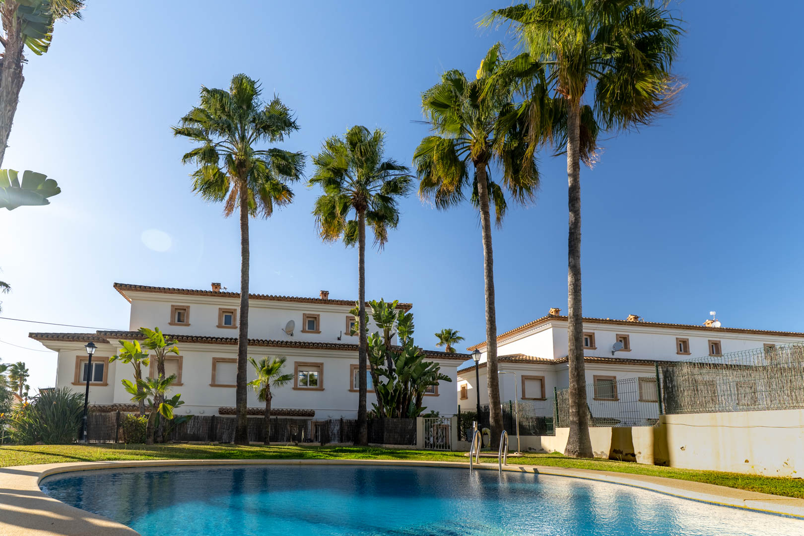 Curved communal swimming pool bordered by green lawns and tall palm trees, featuring the white Mediterranean-style facades and terracotta roofs of the complex.