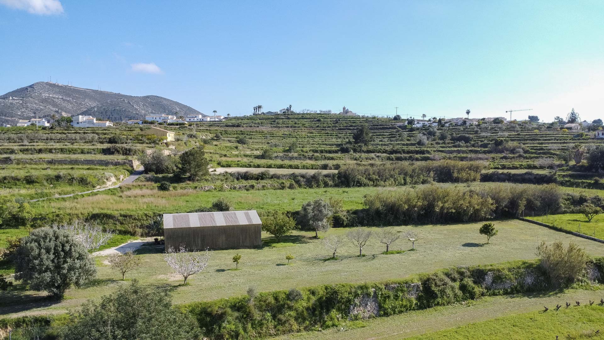 Aerial view of terraced hillsides with traditional stone walls, featuring a wooden shed and young fruit trees in a rural Mediterranean landscape.