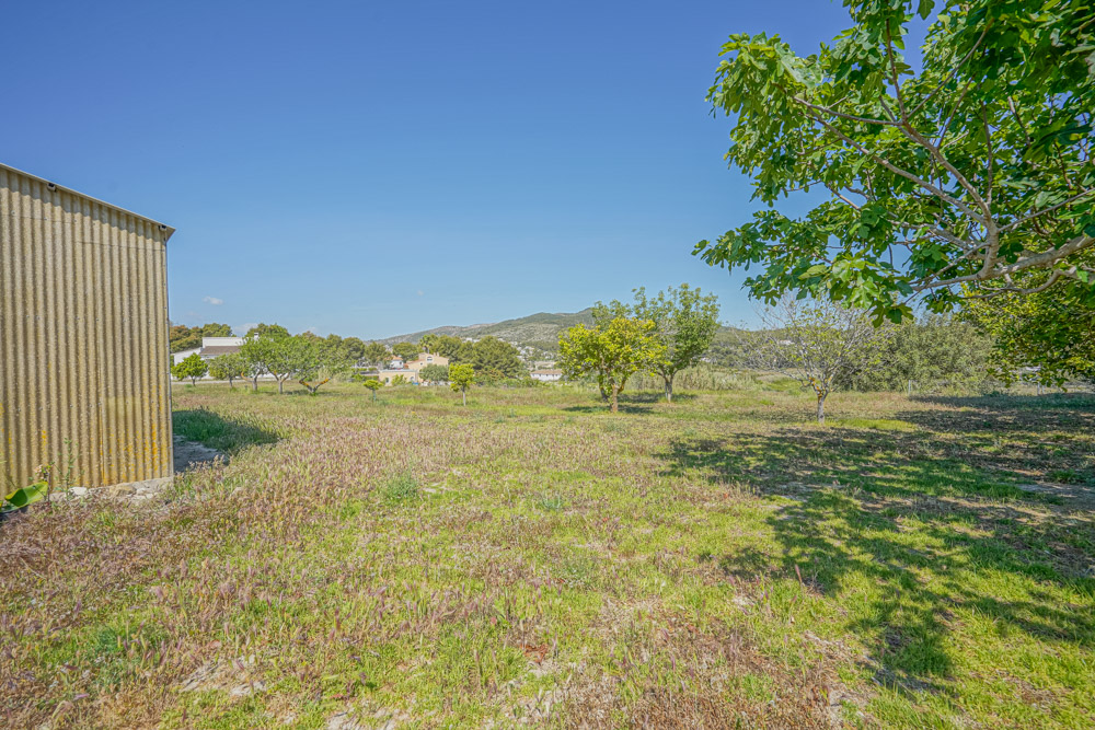 Extensive rural plot featuring a corrugated metal shed, various fruit trees, and distant mountain views under a clear sky.