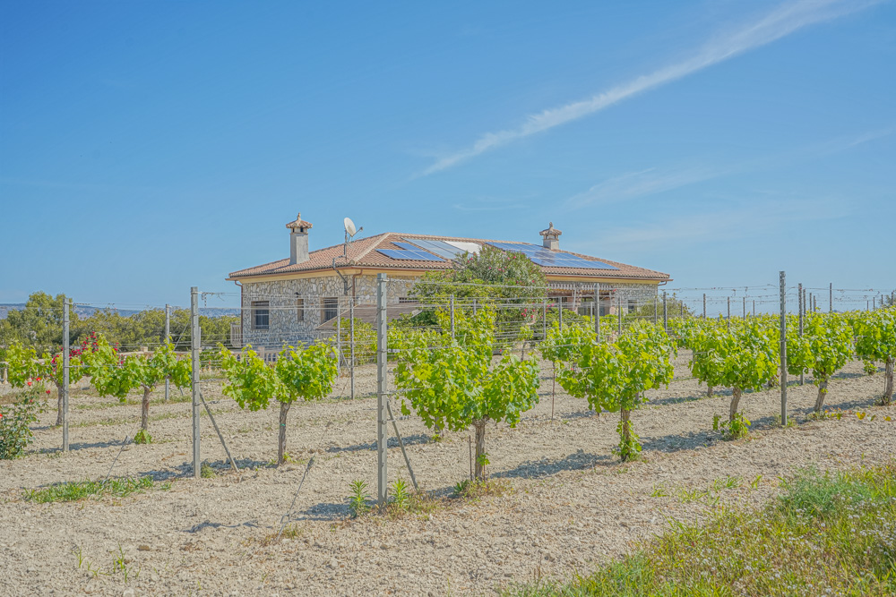 Exterior view of a stone-clad villa featuring solar panels on a terracotta roof, overlooking a private vineyard with trellised grapevines under a clear sky.