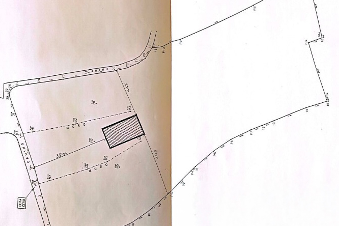Technical site plan showing plot boundaries, road access labeled 'CAMINO', and a shaded rectangular building footprint with specific meter measurements.