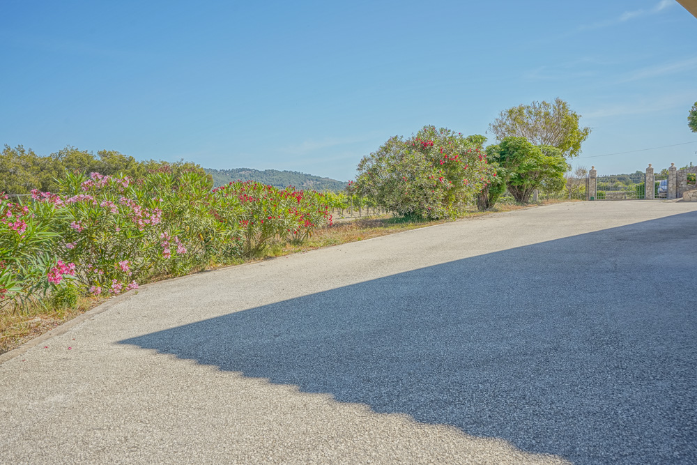 Wide paved driveway bordered by flowering oleanders and Mediterranean vegetation, offering views of the surrounding vineyards and hills.
