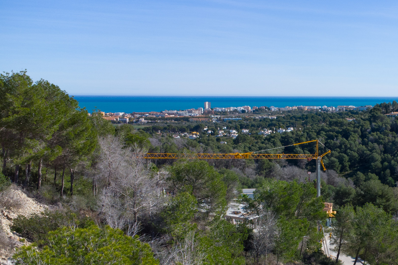 Elevated panoramic view of the Mediterranean Sea and Jávea coastline, framed by native pine trees and featuring a clear blue horizon.