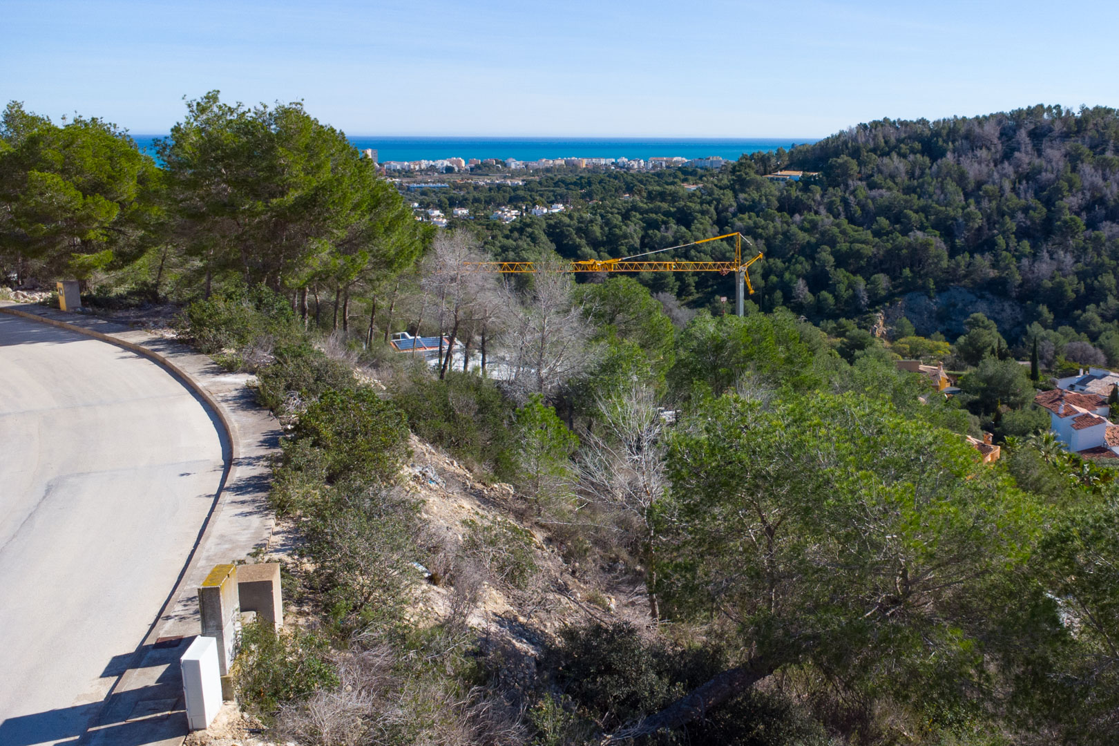 Elevated view from the plot overlooking the Mediterranean Sea, featuring native pine vegetation and the paved access road within the Tosalet 5 development.