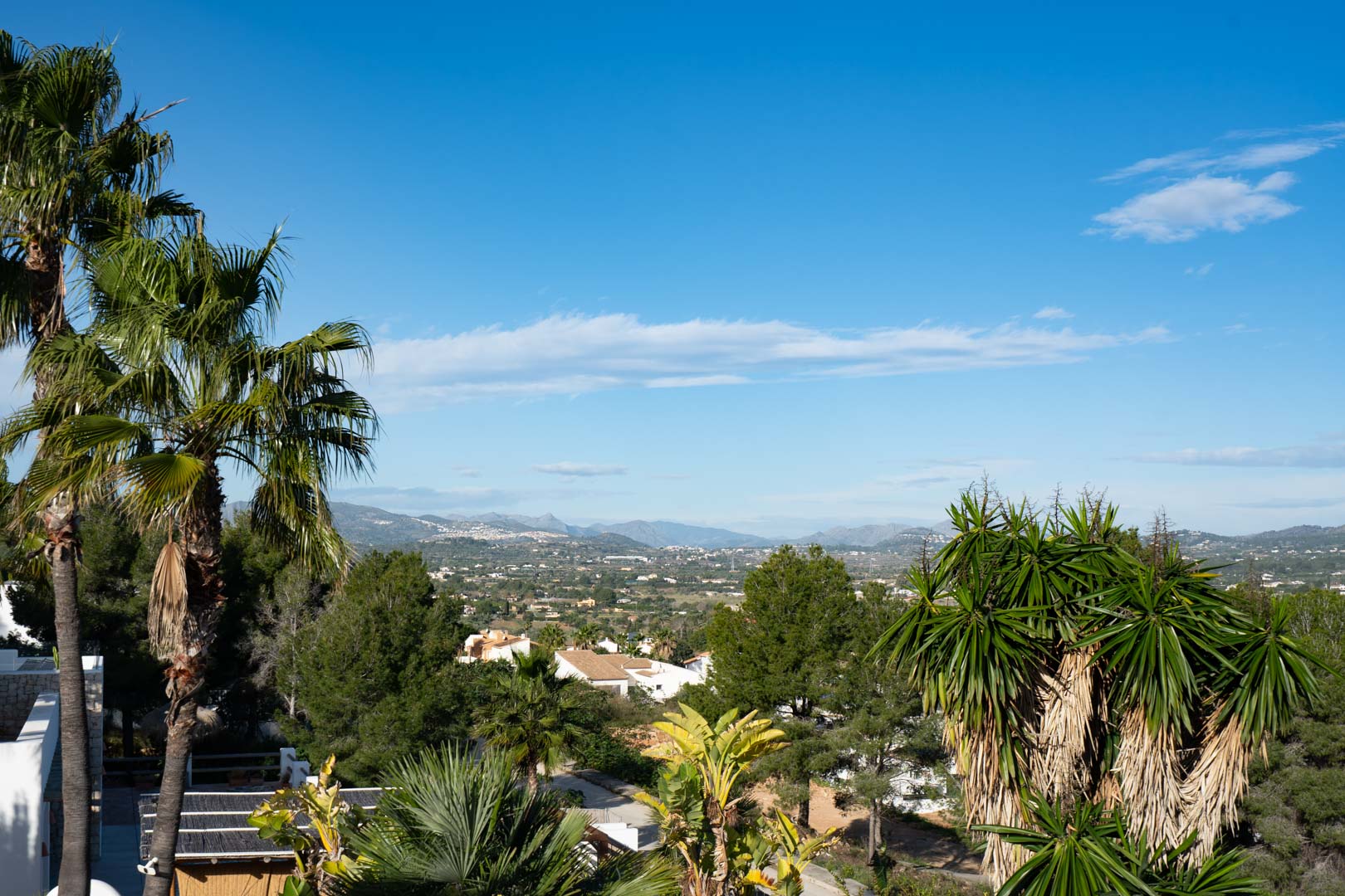 Elevated panoramic views of the valley and distant mountain ranges, framed by mature palm trees and diverse Mediterranean flora under a clear sky.