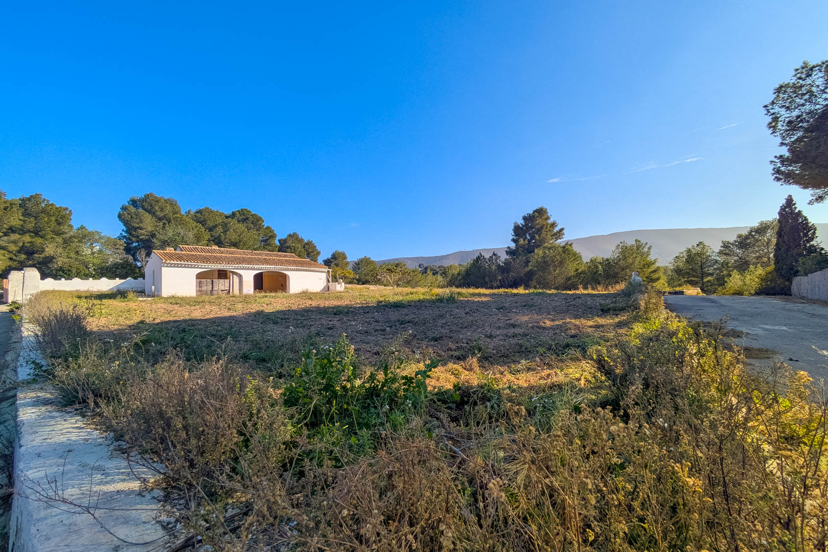 Exterior view of the traditional white-washed finca featuring arched porches, set on a large rustic plot surrounded by pine trees and distant mountain views.
