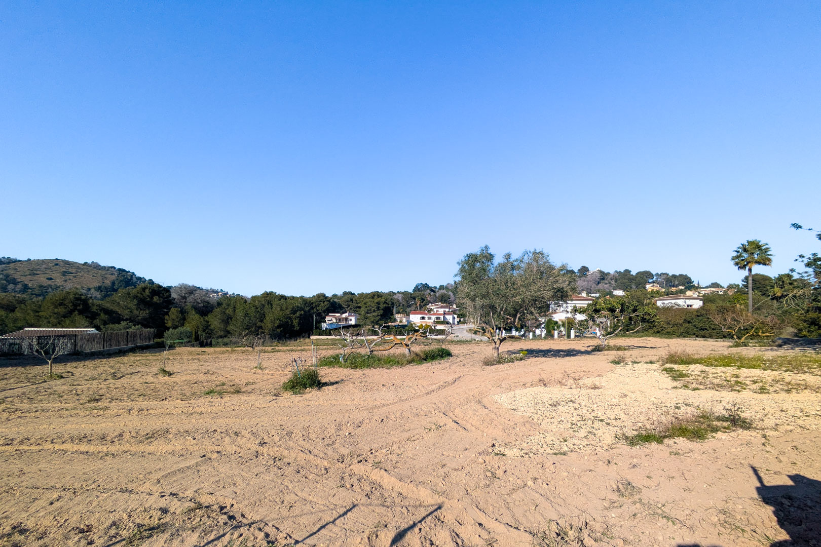 Panoramic view of the expansive flat rustic plot, featuring tilled soil and scattered Mediterranean trees against a backdrop of distant hills and clear skies.