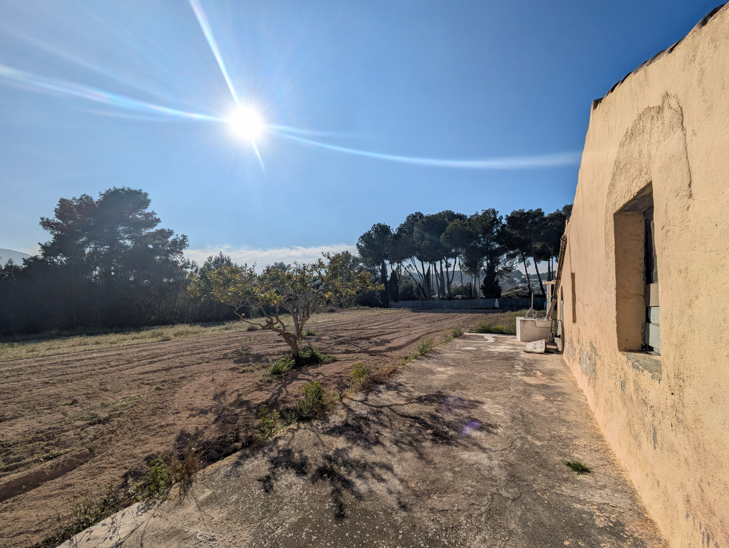 Side facade of the finca featuring ochre plaster walls, a concrete terrace, and views over the flat rustic plot with mature pine trees in the distance.
