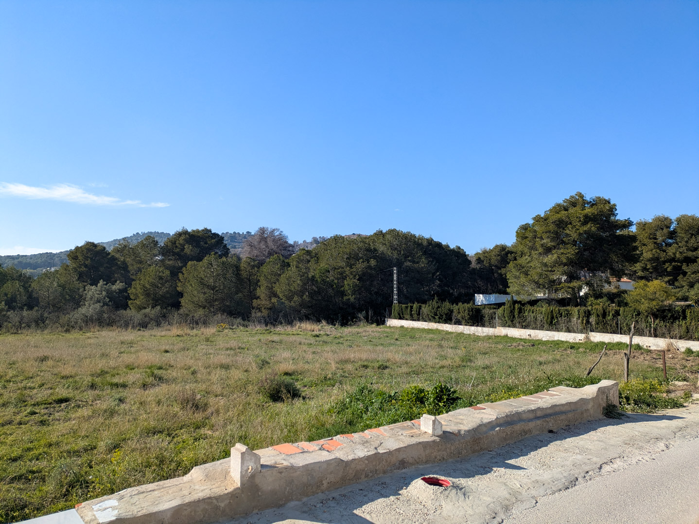 View of the expansive flat rustic plot surrounded by pine trees and Mediterranean vegetation, bordered by a stone wall under a clear blue sky.
