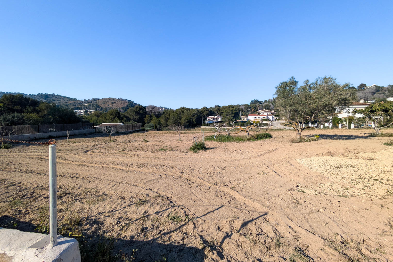View of the extensive flat rustic plot with tilled soil, scattered olive trees, and views of the nearby mountains in a peaceful natural setting.
