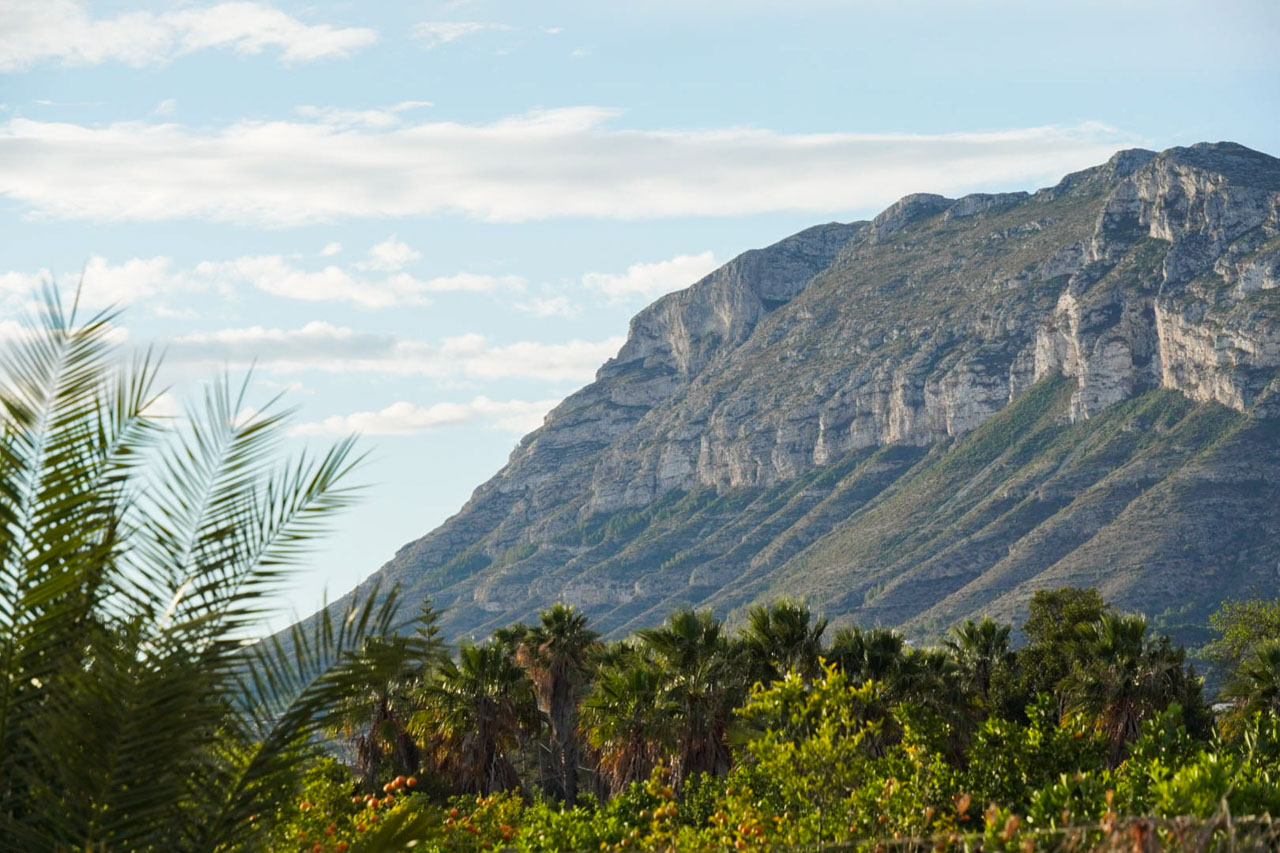 Clear views of the Montgó mountain range from the property, framed by Mediterranean vegetation, palm trees, and local citrus groves under a bright sky.