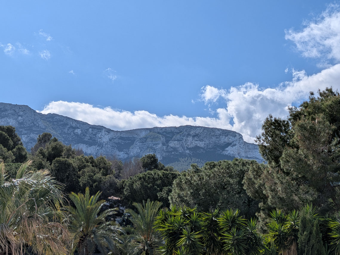 Clear views of the Montgó Natural Park from the property, framed by lush Mediterranean vegetation including pine and palm trees.