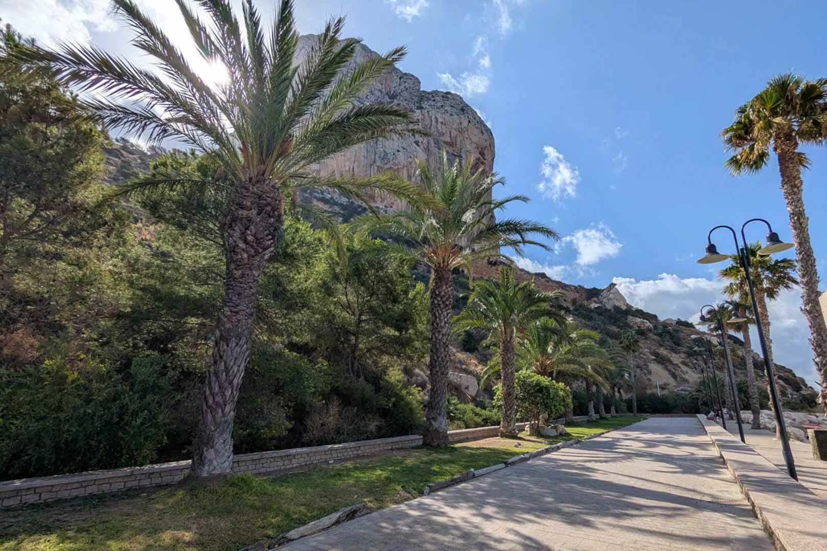 Paved coastal promenade featuring mature palm trees and direct views of the iconic Peñón de Ifach rock formation in Calpe.
