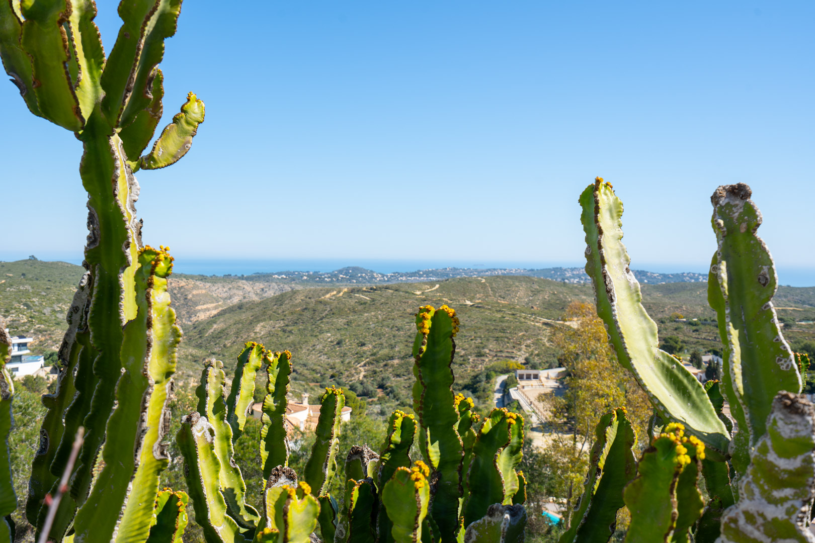Panoramic views of the Granadella Natural Park and the Mediterranean Sea, framed by mature cacti from the property's elevated position.