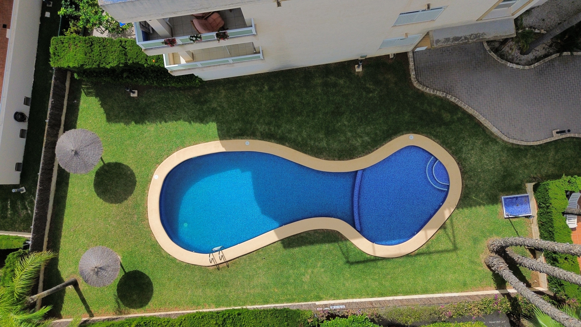Aerial view of the organically shaped pool with manicured lawn, straw umbrellas, and lush greenery.