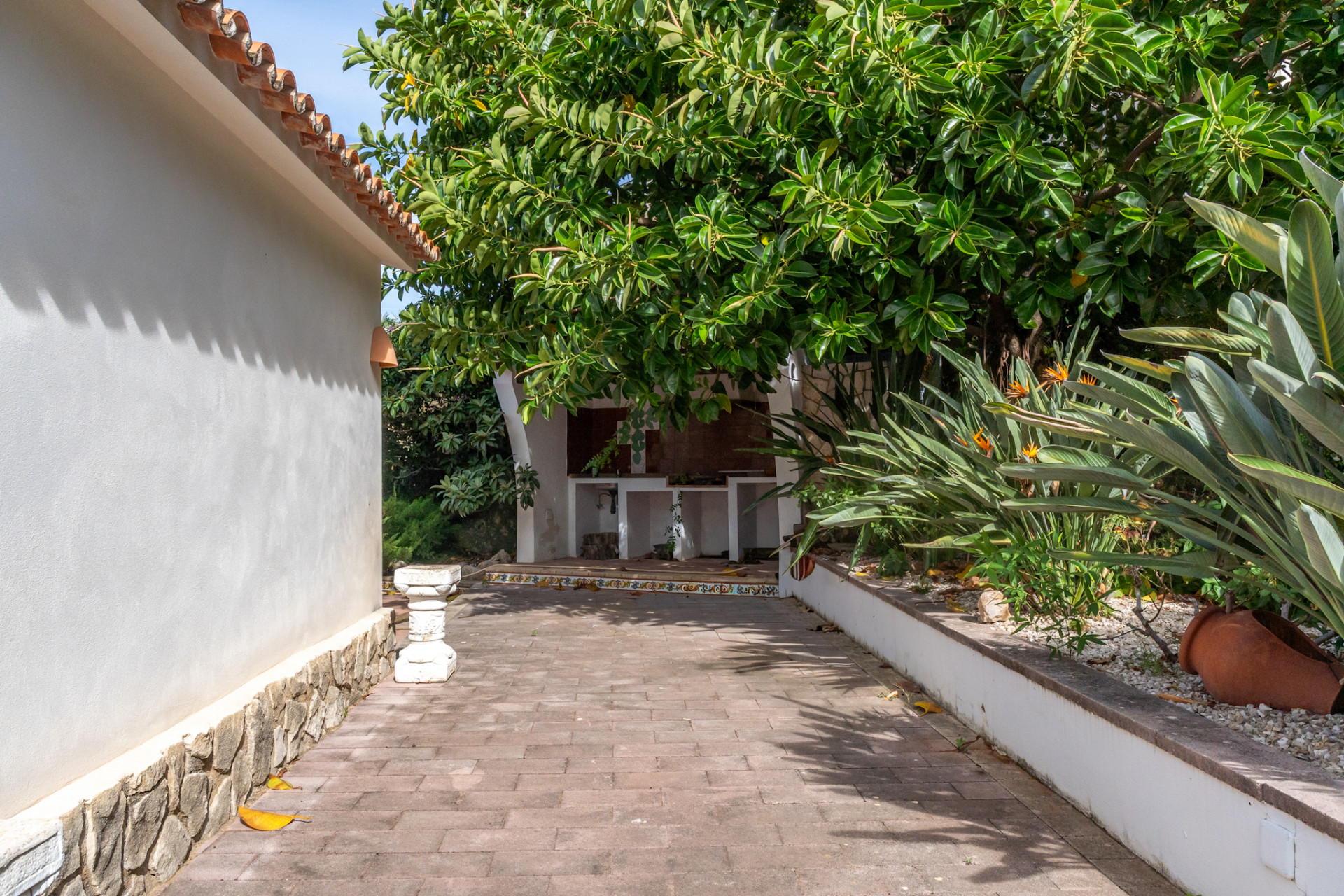 Outdoor kitchen with tiled counter under a large tree, alongside a paved path and a Mediterranean garden with Strelitzia flowers.