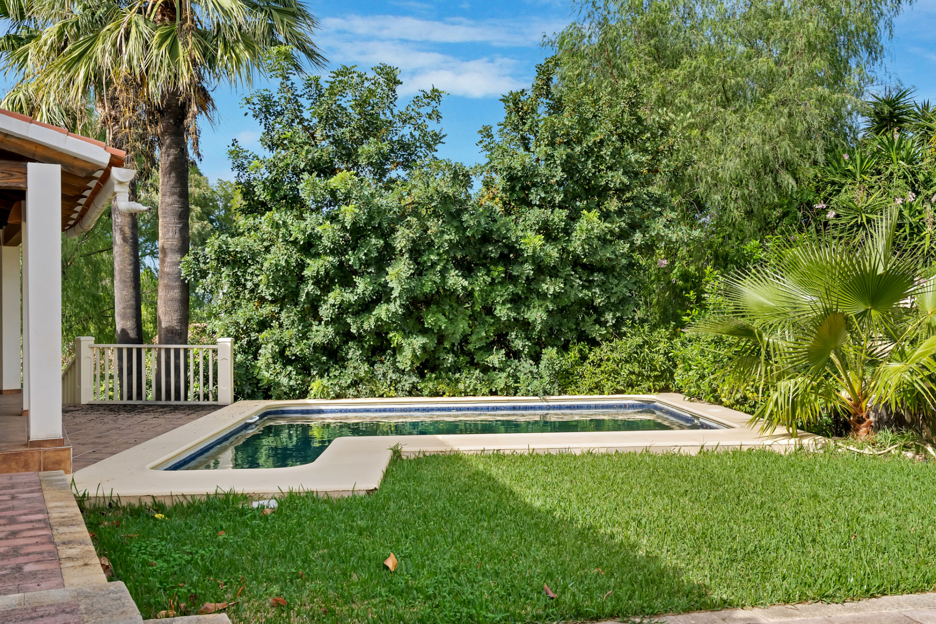 Rectangular private swimming pool with green lawn and lush surrounding vegetation, adjacent to a covered terrace with white pillars.