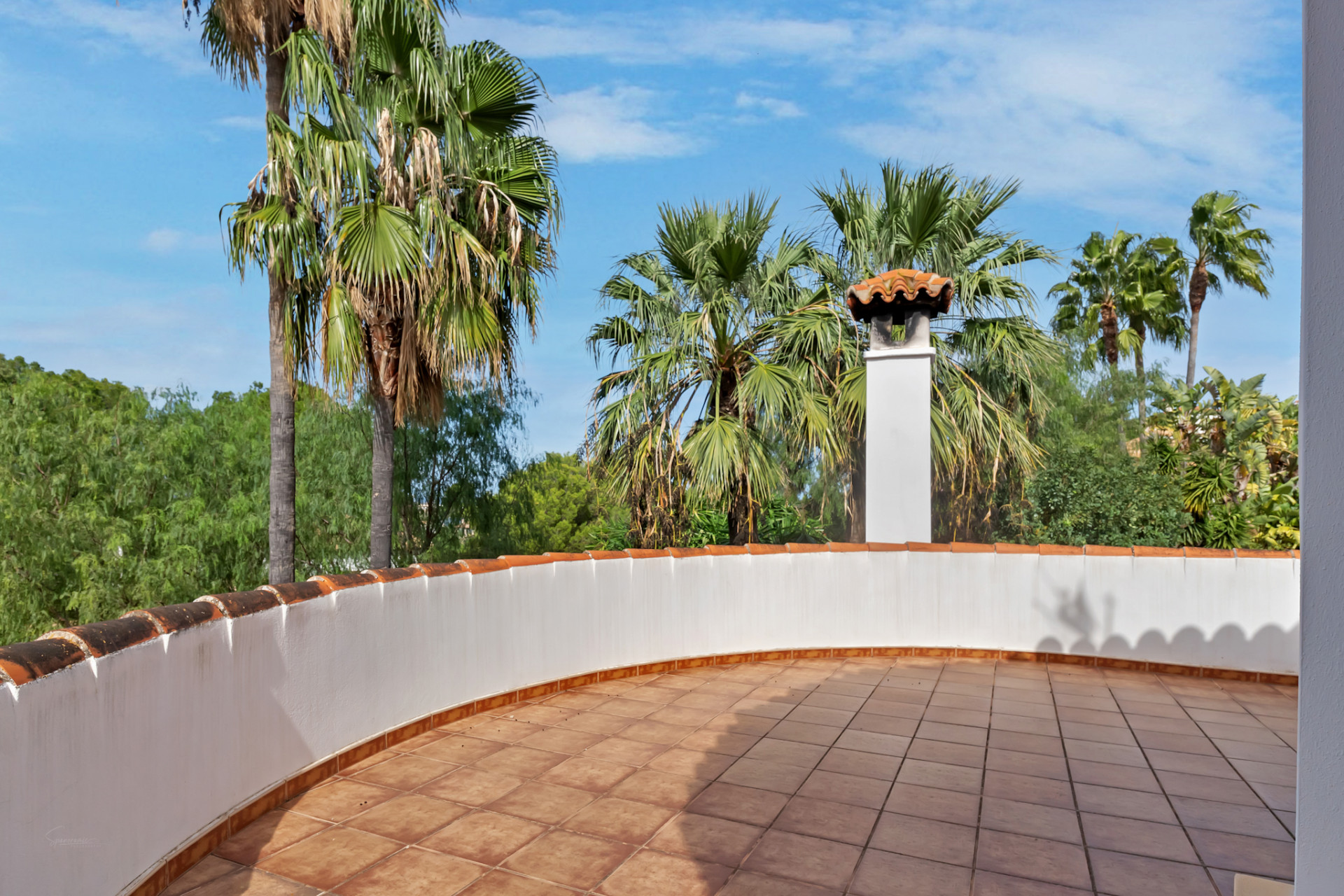 Spacious rooftop terrace featuring terracotta tiles, a curved white parapet with traditional roof tiles, and a prominent chimney, surrounded by lush palm trees under a clear blue sky.