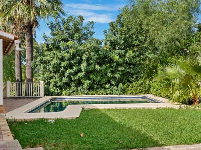 Rectangular private swimming pool with green lawn and lush surrounding vegetation, adjacent to a covered terrace with white pillars.