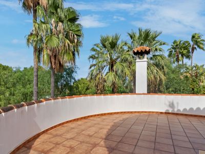 Spacious rooftop terrace featuring terracotta tiles, a curved white parapet with traditional roof tiles, and a prominent chimney, surrounded by lush palm trees under a clear blue sky.