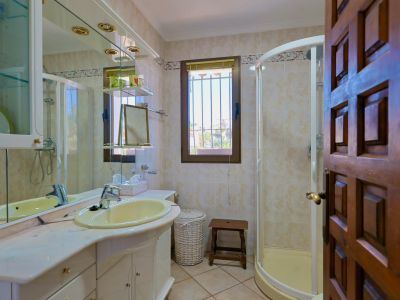 Bathroom detail with yellow sink, corner shower, and carved wood door.