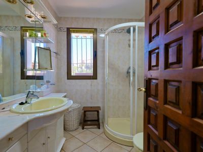 Bathroom detail with yellow sink, corner shower, and carved wooden door.