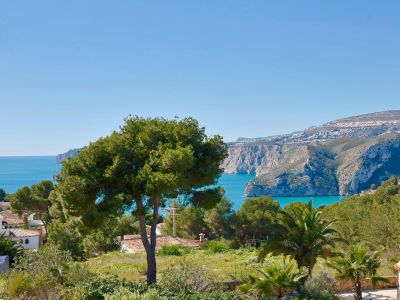 Panoramic view of Jávea featuring lush greenery and the Mediterranean Sea in the background.