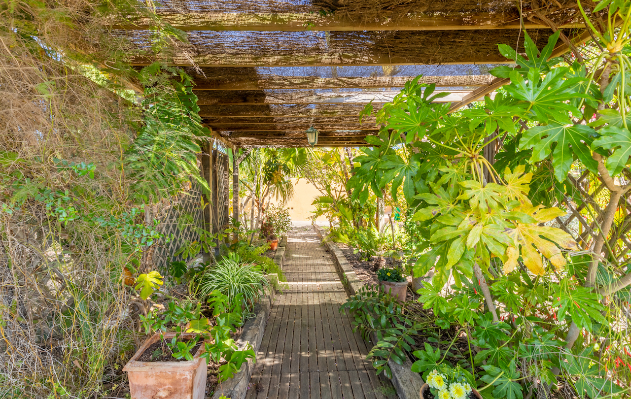 A wooden boardwalk path under a rustic brushwood pergola, surrounded by mature Mediterranean greenery and tropical plants in terracotta pots.