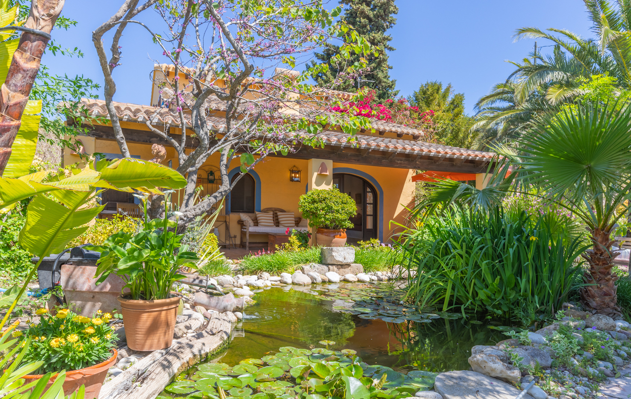 Garden pond with water lilies and lush Mediterranean plants situated in front of a traditional Valencian guest house with a shaded porch.