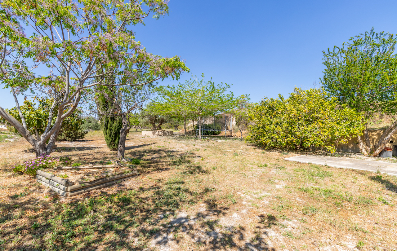 Rustic grounds featuring citrus trees, a flowering tree, and a trampoline. The outdoor space includes wooden planters and mature Mediterranean vegetation.