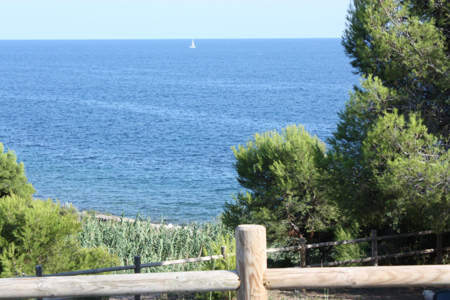Unobstructed Mediterranean Sea views from the property, framed by native pine trees and a rustic wooden fence with a sailboat on the horizon.